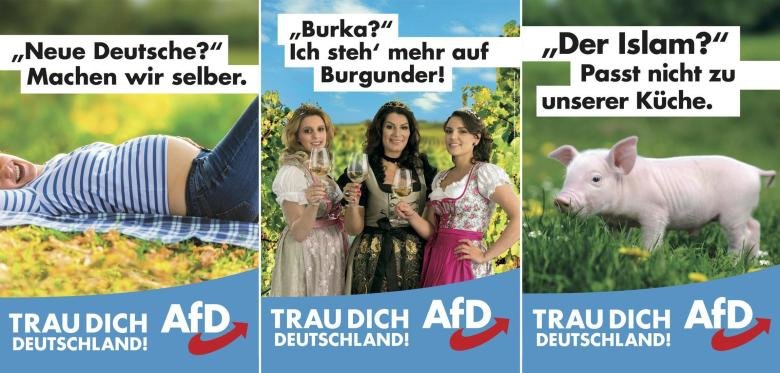 AfD Plakatmotive Wahlkampf Bund