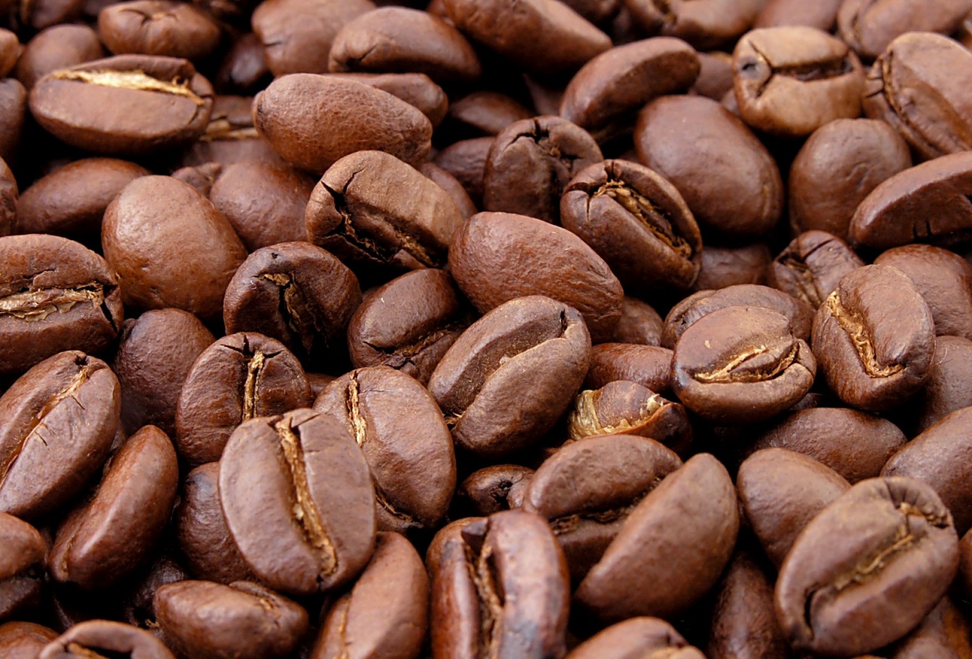 Как Япония стала лидером на рынке кофе, не вырастив ни одного зернышка?